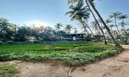 അവഗണനയിൽ നശിച്ച് നെടിയാരക്കുളം അവഗണനയിൽ നശിച്ച് നെടിയാരക്കുളം