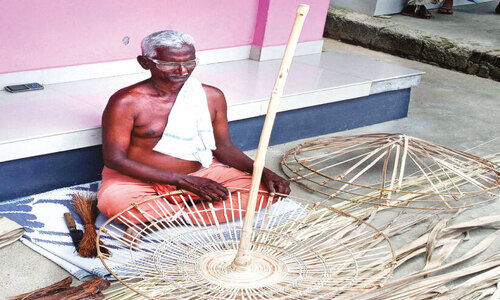 തൂ​റ്റോ​ട് ഗ്രാ​മ​ത്തി​ലെ പ​ട്ട​ക്കു​ട പെ​രു​മ