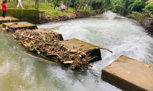 വെമ്പുഴയിൽ തടയണയുടെ പാർശ്വഭിത്തി തകർന്നിട്ട് വർഷങ്ങൾ