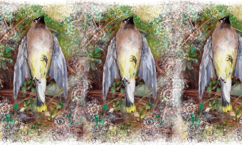 മൃ​ത​പ​ക്ഷി​ക​ൾ​ക്ക് ഒ​രു മൗ​ന​സാ​ക്ഷി