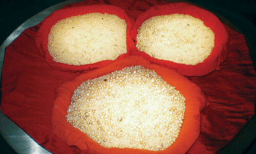 അബറ യോരത്തെ മുത്ത് മ്യൂസിയം അബറ യോരത്തെ മുത്ത് മ്യൂസിയം