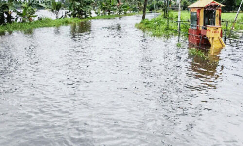 കുട്ടനാട്ടിൽ ജലനിരപ്പ് ഉയരുന്നതിൽ ആശങ്ക