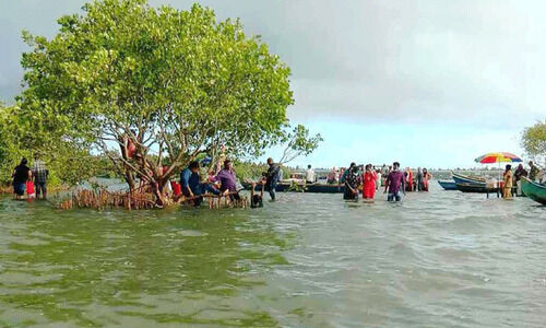 വീണ്ടും തിരക്കിലായി സാമ്പ്രാണിക്കോടി
