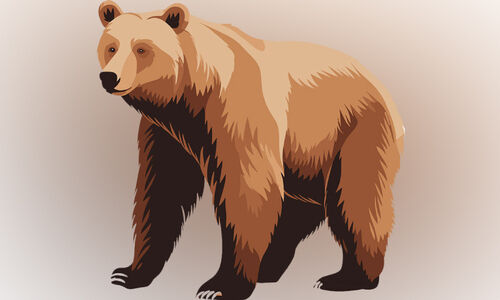 തേൾപ്പാറയിൽ വീണ്ടും കരടികൾ തേൾപ്പാറയിൽ വീണ്ടും കരടികൾ