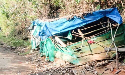 പെരുമലയിലെ ജനവാസ മേഖലയിൽ നാശം വിതച്ച്കാട്ടാനകൾ പെരുമലയിലെ ജനവാസ മേഖലയിൽ നാശം വിതച്ച്കാട്ടാനകൾ