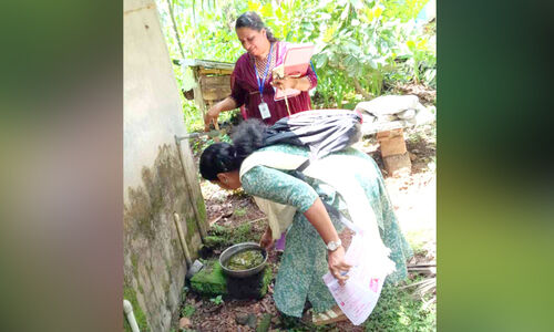 എരുമേലി പെര്യൻമലയിൽ ഡെങ്കിപ്പനി