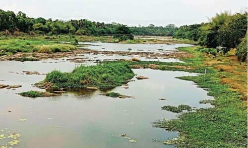 കണ്ണീർച്ചാലായി ഭാരതപ്പുഴ കണ്ണീർച്ചാലായി ഭാരതപ്പുഴ