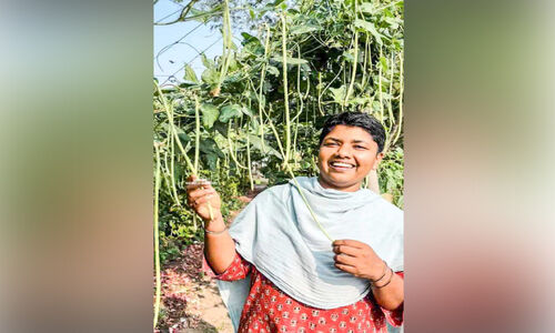 ഹരിപ്പാട്ട് ഹരിതഭൂമി ഒരുക്കിയ വാണി കർഷകതിലകം
