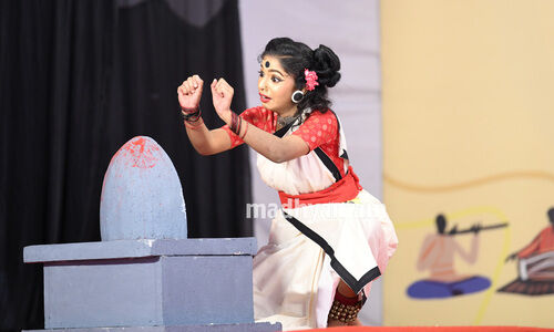 കലോത്സവ കാഴ്ചകൾ - 19