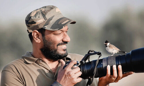 പിക്ചേഴ്സ് ഓഫ് സ്മാൾ തിങ്ങ്സ്