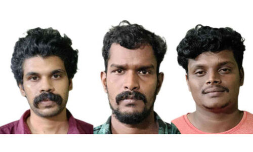 കഞ്ചാവുമായി മൂന്നുപേർ പിടിയിൽ കഞ്ചാവുമായി മൂന്നുപേർ പിടിയിൽ