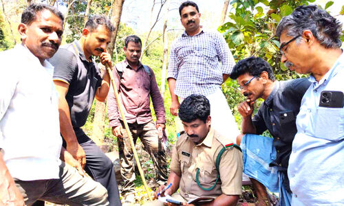 വന്യമൃഗ ശല്യം; വരുന്നൂ...വൈദ്യുത വേലി വന്യമൃഗ ശല്യം; വരുന്നൂ...വൈദ്യുത വേലി