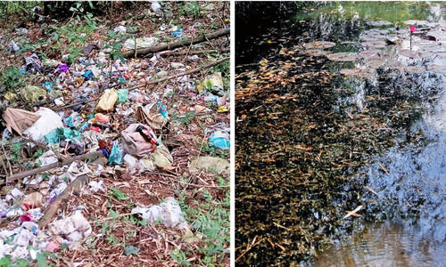 അമിത കീടനാശിനിയും മാലിന്യവും; തുരുത്തുകളും ജലാശയങ്ങളും മരിക്കുന്നു അമിത കീടനാശിനിയും മാലിന്യവും; തുരുത്തുകളും ജലാശയങ്ങളും മരിക്കുന്നു