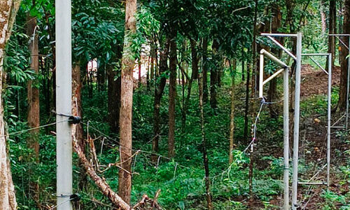 മരം വീണ് തകര്ന്ന ഹാങിങ് ഫെൻസ് പുനഃസ്ഥാപിക്കാന് നടപടിയില്ല മരം വീണ് തകര്ന്ന ഹാങിങ് ഫെൻസ് പുനഃസ്ഥാപിക്കാന് നടപടിയില്ല