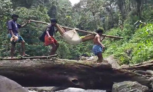 വീണ്ടും രോഗിയെ മഞ്ചൽ കെട്ടി ചുമന്ന് കിലോമീറ്ററുകൾ താണ്ടി ആശുപത്രിയിലെത്തിച്ച് ഇടമലക്കുടിയിലെ ആദിവാസികൾ