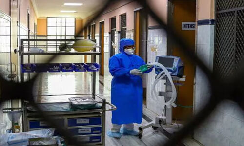 കോവിഡ് പരിശോധനക്കയച്ച ആ പൂച്ചയുടെ ജഡം ഇപ്പോഴും അമേരിക്കയി​ലെ സി.ഡി.സി സെന്ററിൽ