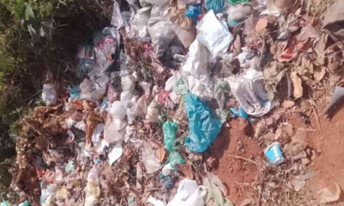 മലയോര പഞ്ചായത്തുകളിലെ മാലിന്യ നിര്മാര്ജനം പ്രഖ്യാപനത്തില് മാത്രം മലയോര പഞ്ചായത്തുകളിലെ മാലിന്യ നിര്മാര്ജനം പ്രഖ്യാപനത്തില് മാത്രം