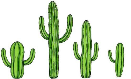 മുസിരിസ് സ്കെച്ചുകള്‍