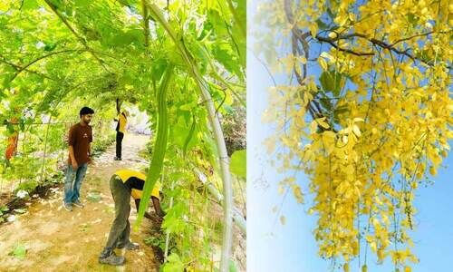 വിഷുവണിഞ്ഞ് യു.എ.ഇ