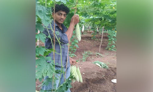 സ്റ്റെയിലിൽ കൃഷിയൊരുക്കി സ്റ്റെയിൻ സ്റ്റെയിലിൽ കൃഷിയൊരുക്കി സ്റ്റെയിൻ