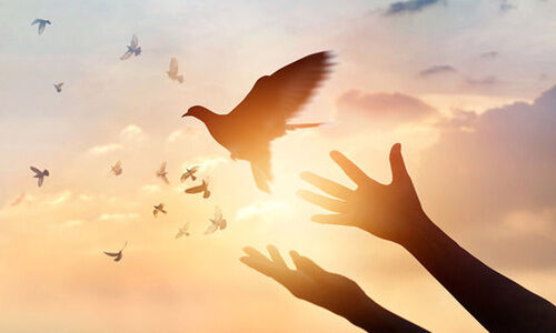 യു​ദ്ധ​വും സ​മാ​ധാ​ന​വും