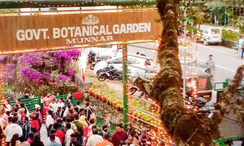 മോടി കൂട്ടി മൂന്നാർ ബോട്ടാണിക്കല്‍ ഗാര്‍ഡന്‍