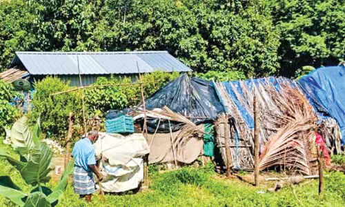 താമസം കൂരകളിൽ, ശൗചാലയമില്ല; ദുരിത ജീവിതം നയിച്ച് 15 കുടുംബങ്ങൾ താമസം കൂരകളിൽ, ശൗചാലയമില്ല; ദുരിത ജീവിതം നയിച്ച് 15 കുടുംബങ്ങൾ