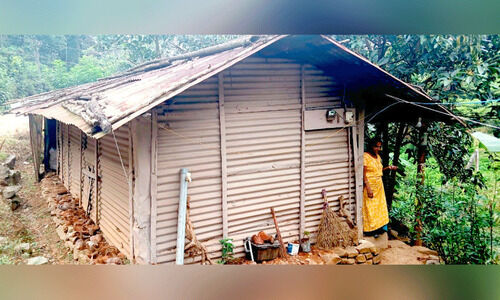 അന്തിയുറങ്ങാൻ ഷെഡ്, ദുരിത ജീവിതവുമായി സുലോചനയും കുടുംബവും അന്തിയുറങ്ങാൻ ഷെഡ്, ദുരിത ജീവിതവുമായി സുലോചനയും കുടുംബവും