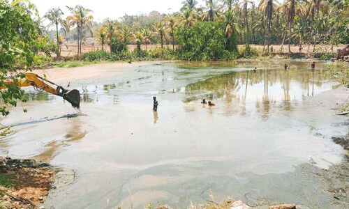 നാട്ടുകാർ ഒരുമിച്ചു; കല്ലൂർ പഴങ്ങോട്ട് കുളം ശുചീകരിക്കുന്നു നാട്ടുകാർ ഒരുമിച്ചു; കല്ലൂർ പഴങ്ങോട്ട് കുളം ശുചീകരിക്കുന്നു