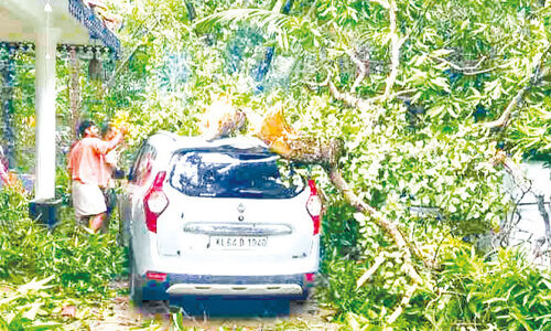 താ​നൂ​രി​ൽ ചു​ഴ​ലി​ക്കാ​റ്റ്: 30ഓ​ളം വീ​ടു​ക​ൾ​ക്ക് നാ​ശം