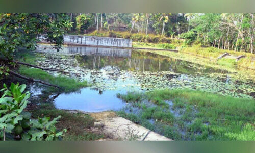 പോങ്ങനാട് നീന്തൽ പരിശീലനകേന്ദ്രം; ഒരുകോടിയും പരിശീലനവും ‘കുളമാക്കി’ പോങ്ങനാട് നീന്തൽ പരിശീലനകേന്ദ്രം; ഒരുകോടിയും പരിശീലനവും ‘കുളമാക്കി’