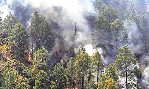 ഉത്തരാഖണ്ഡിലെ കാടുകൾ കത്തിത്തീരുന്നു; ആരാണിതിന്റെ പിന്നിൽ? ഉത്തരാഖണ്ഡിലെ കാടുകൾ കത്തിത്തീരുന്നു; ആരാണിതിന്റെ പിന്നിൽ?