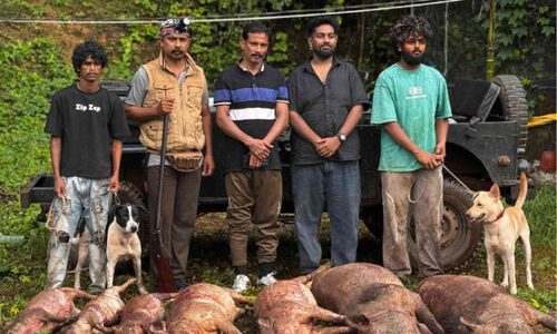 കാട്ടുപന്നികളെ വെടിവെച്ച് കൊല്ലാൻ കാമ്പയിൻ; ഷൂട്ടര്മാര് കൊന്നൊടുക്കിയത് ഏഴ് കാട്ടുപന്നികളെ കാട്ടുപന്നികളെ വെടിവെച്ച് കൊല്ലാൻ കാമ്പയിൻ; ഷൂട്ടര്മാര് കൊന്നൊടുക്കിയത് ഏഴ് കാട്ടുപന്നികളെ