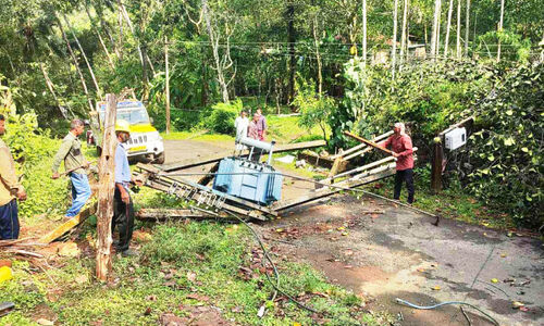 മലയോരത്ത് കൊടുങ്കാറ്റും പേമാരിയും