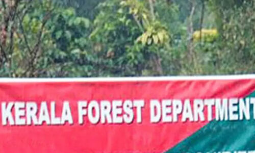 വാശിയോടെ വനംവകുപ്പ്; വലഞ്ഞ് വാളറ യാത്രക്കാർ വാശിയോടെ വനംവകുപ്പ്; വലഞ്ഞ് വാളറ യാത്രക്കാർ