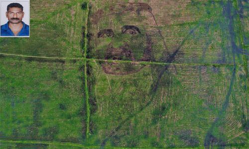 ചെന്നിത്തല പാടത്ത്​ പ്രകൃതിയുടെ നിറച്ചാർത്തായി ദുബൈ ശൈഖിന്‍റെ കൂറ്റൻചിത്രം