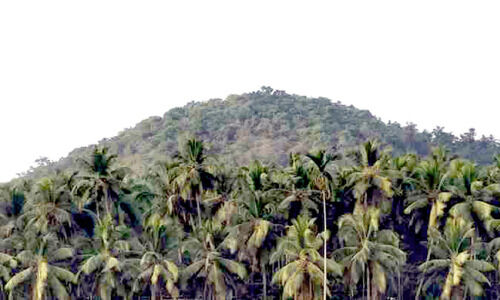 പുറക്കാമല കരിങ്കൽ ഖനനം; പഞ്ചായത്തിന്റെ അപ്പീൽ തള്ളി