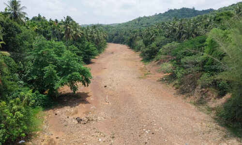 പുഴകൾ വറ്റിവരണ്ടു; കർഷകർ ആശങ്കയിൽ പുഴകൾ വറ്റിവരണ്ടു; കർഷകർ ആശങ്കയിൽ