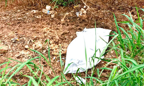 ശുചീകരിച്ച് കൈയെടുക്കും മുമ്പെ നഗരിപ്പുറം കനാലിലും റോഡിലും മാലിന്യം തള്ളി