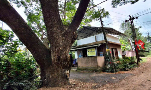 അംഗൻവാടിക്ക് സമീപം അപകട ഭീഷണിയായി കൂറ്റന് മരം അംഗൻവാടിക്ക് സമീപം അപകട ഭീഷണിയായി കൂറ്റന് മരം