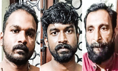 വാടകവീട് കേന്ദ്രീകരിച്ച് കഞ്ചാവ് വിൽപന: മൂന്നുപേർ അറസ്റ്റിൽ