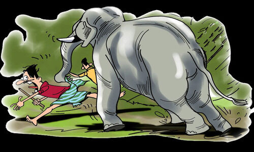 മരണച്ചൂരടിക്കുന്ന മലമടക്കുകൾ; ആനപ്പേടിയിൽ ഇവർക്ക് ഉറക്കമില്ല