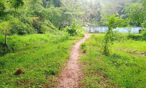 വെള്ളക്കെട്ടില്ല; മുഴപ്പിലങ്ങാടിന് ദുരിതമില്ലാ കാലം വെള്ളക്കെട്ടില്ല; മുഴപ്പിലങ്ങാടിന് ദുരിതമില്ലാ കാലം
