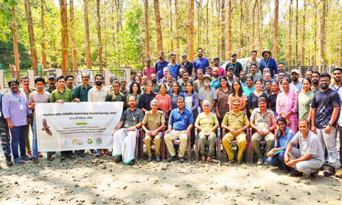 ക​രി​മ്പു​ഴ​യി​ൽ ജ​ന്തു​ജാ​ല ക​ണ​ക്കെ​ടു​പ്പ് പൂ​ർ​ത്തി​യാ​യി; 63 ഇ​നം ജീ​വി​ക​ളെ ക​ണ്ടെ​ത്തി