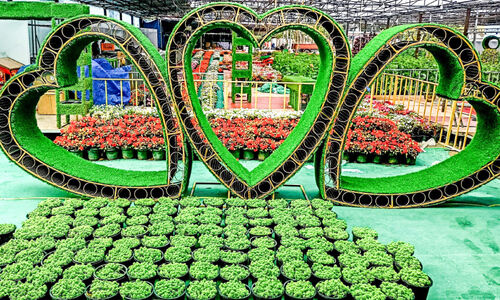 തേക്കടി പുഷ്പമേളക്ക്​ ഇന്ന് തുടക്കം