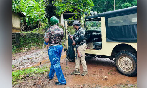 കടുവ ഭീതിയിൽ കൂടുതൽ എസ്റ്റേറ്റുകൾ; പട്ടിണി ഭീതിയിൽ തൊഴിലാളി കുടുംബങ്ങൾ കടുവ ഭീതിയിൽ കൂടുതൽ എസ്റ്റേറ്റുകൾ; പട്ടിണി ഭീതിയിൽ തൊഴിലാളി കുടുംബങ്ങൾ