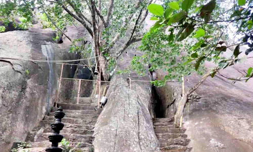 അമ്പൂരിയിലെ ടൂറിസം പദ്ധതികൾ   യാഥാർഥ്യമാകുന്നു; വി​വി​ധ പ​ദ്ധ​തി​ക​ള്‍ക്കാ​യി അനുവദിച്ചത് 7 കോടി രൂപ