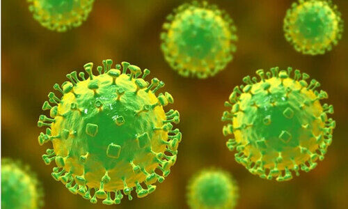 ജന്തുജന്യ രോഗങ്ങൾ മനുഷ്യരിൽ വർധിക്കുന്നുവെന്ന് പഠനം ജന്തുജന്യ രോഗങ്ങൾ മനുഷ്യരിൽ വർധിക്കുന്നുവെന്ന് പഠനം