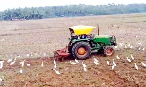 മേ​ട​മ​ഴ​യി​ൽ മ​നം കു​ളി​ര്‍ത്ത് ക​ര്‍ഷ​ക​ര്‍ ഒ​ന്നാം​വി​ള​ക്ക് വി​ത്തി​റ​ക്കി