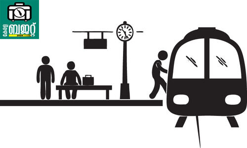 മെട്രോ സഫാരി; കോ​ഴി​ക്കോ​ട്ട് മെ​ട്രോ റെ​യി​ൽ, ച​ക്കി​ട്ട​പ്പാ​റ​യി​ൽ ടൈ​ഗ​ര്‍ സ​ഫാ​രി പാ​ർ​ക്ക്